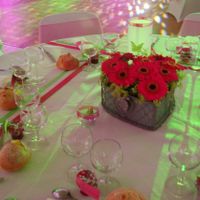 table gerberas