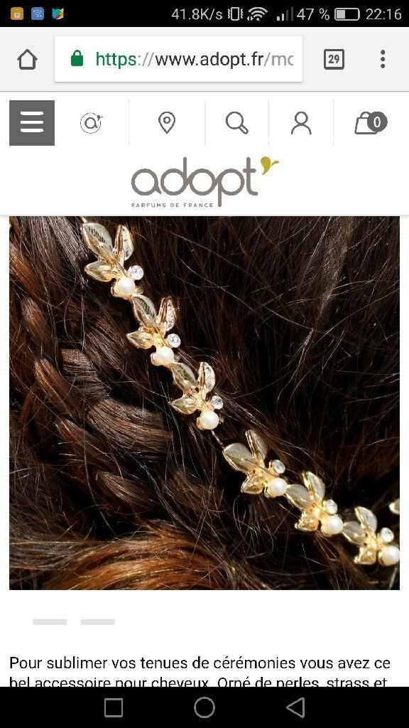 Montrez moi vos accessoires pour les cheveux - 1