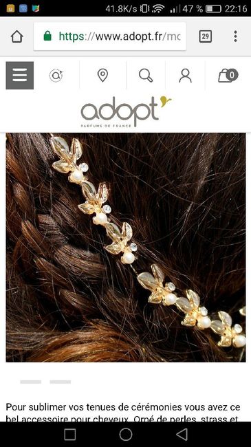 Montrez moi vos accessoires pour les cheveux - 1