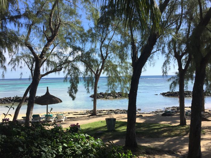  L'île Maurice pour notre voyage de noces!!! - 4
