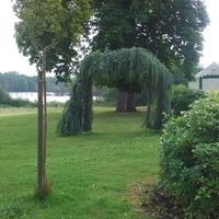 le lieu de la cÃ©rÃ©monie laÃ¯que