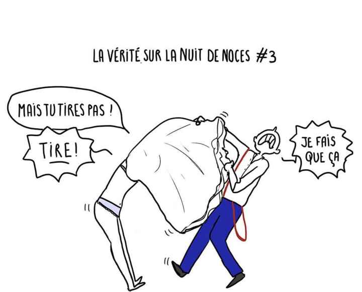 Images marrantes - 3