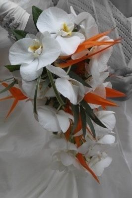 Hésitations bouquet