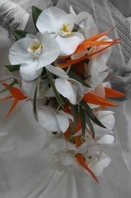 Hésitations bouquet