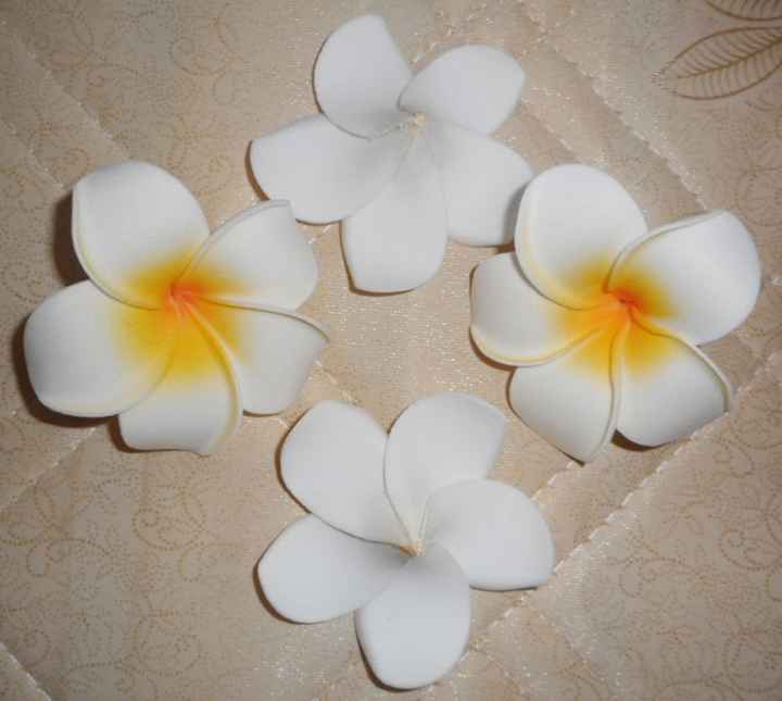 Fleurs frangipaniers