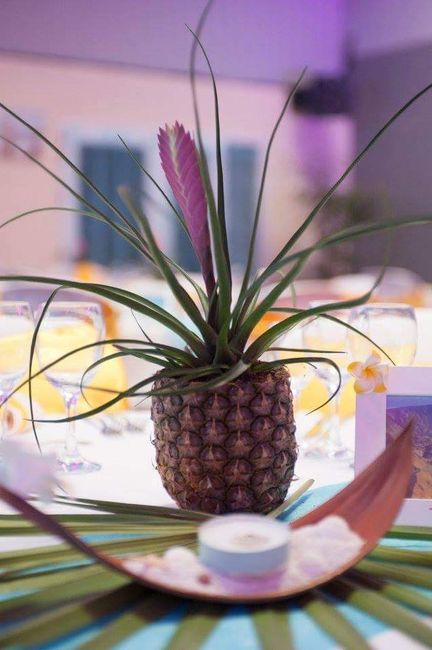 Thème exotique des antilles - 1