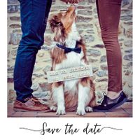 Une photo avec ton animal de compagnie ? 🐶 - 1