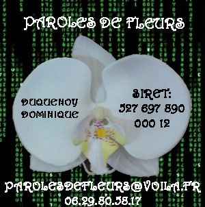 Nos cadeaux invités