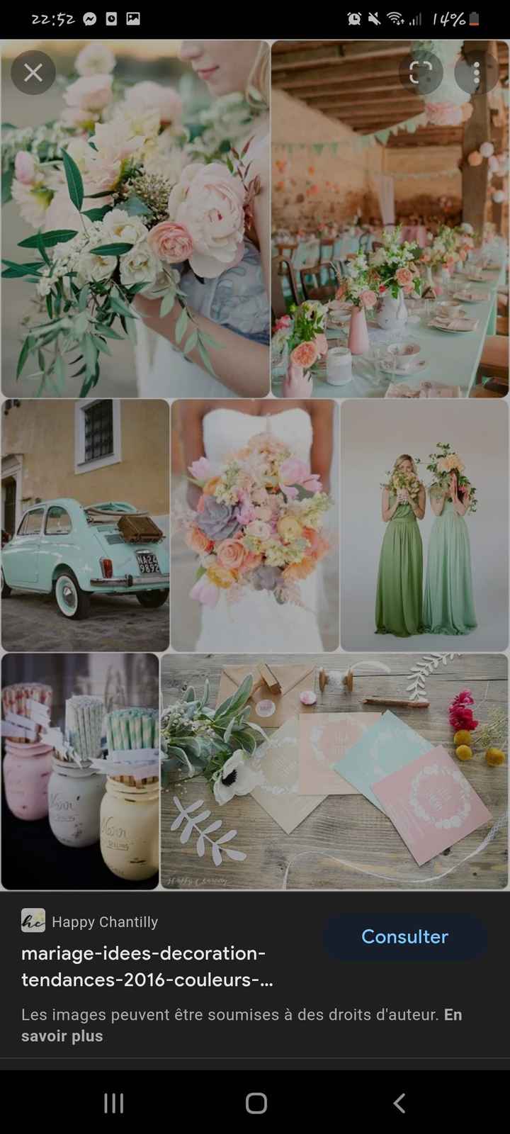 Thème ou couleur du mariage - 1