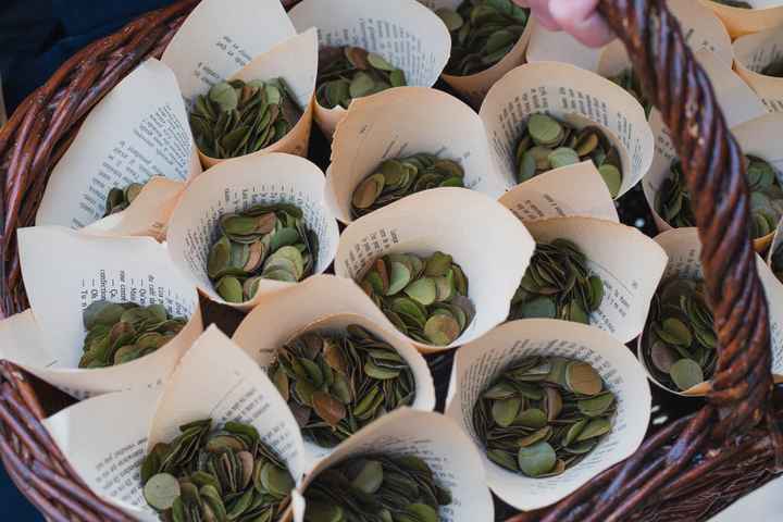 Des confettis végétaux et écolo ! Voici nos astuces ! 🎊 - 1