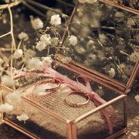 Vos Porte-alliances - 1