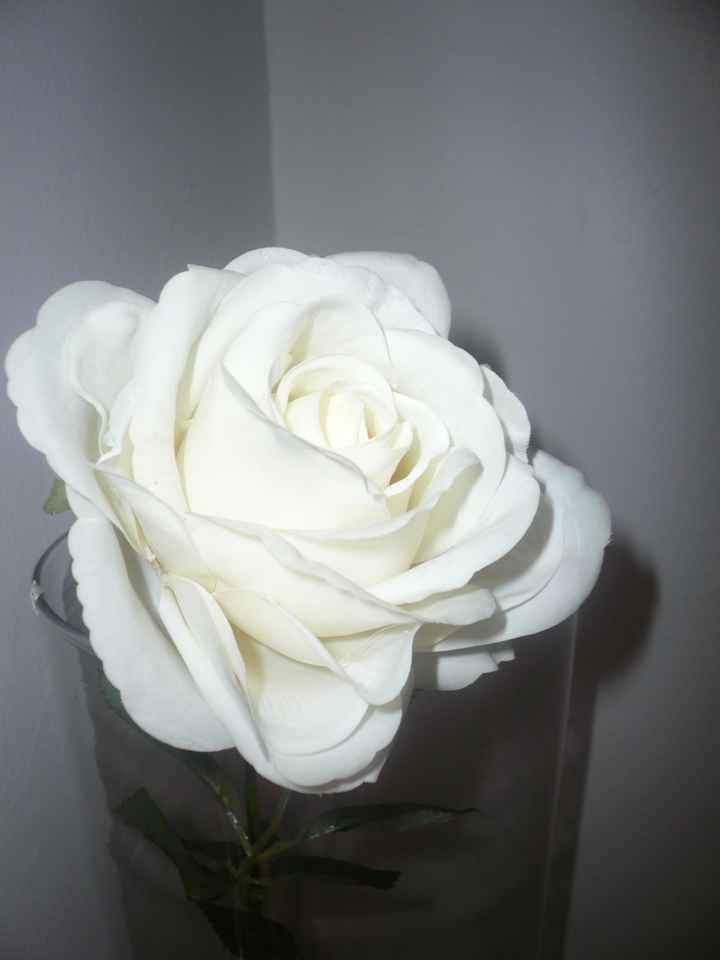 voilà mon porte alliance