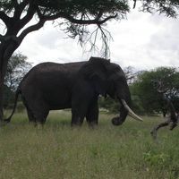 Pour que la mariée me retrouve