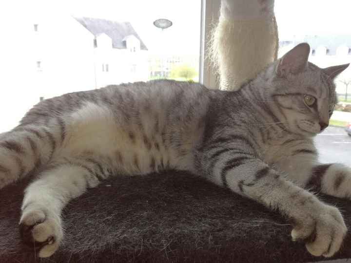 Aujourd'hui tout le monde participe... - 1