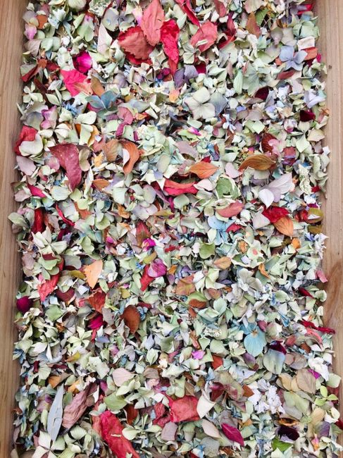 Dernières avancées 🎉 5