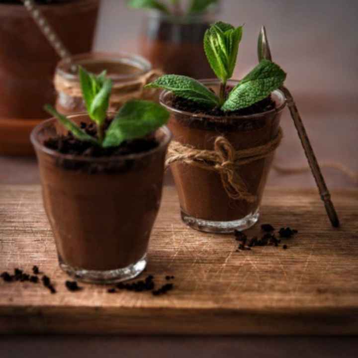 m comme .... mousse (dessert) - 1