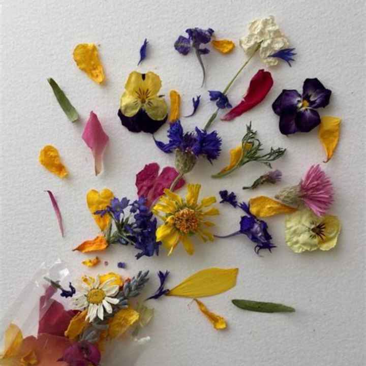 Pétales de fleurs séchées 🌸 - 2