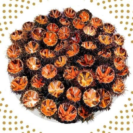 Repas typique Corse pour mariage - 1