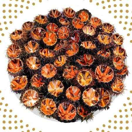 Repas typique Corse pour mariage - 1