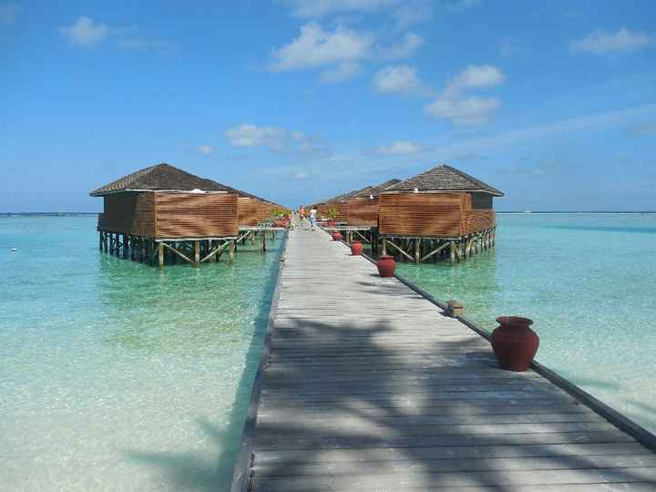 Maldives (vdn) - 5