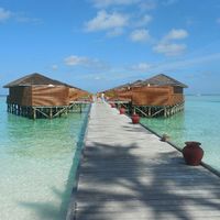 Maldives (vdn) - 5