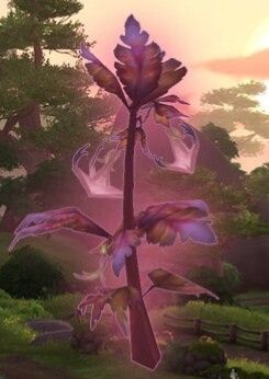 Fleurs - 4
