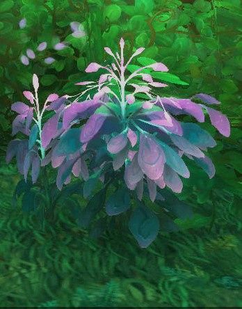Fleurs - 8