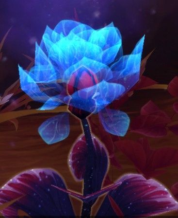 Fleurs - 9