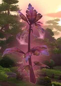 Fleurs - 4