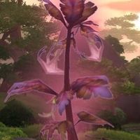 Fleurs - 4