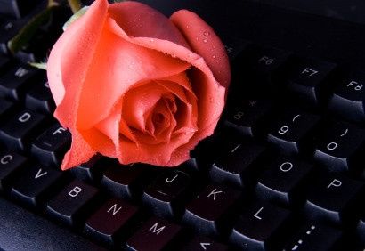rose cérémonie