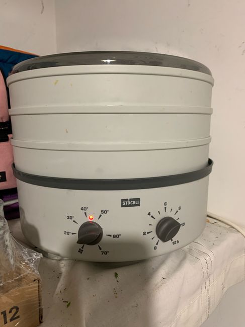 Fleurs séchées 🌷🌸🌹🌼 3