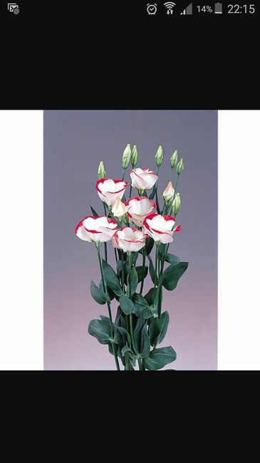 Fleuriste - 2