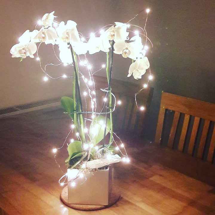 orchidée led