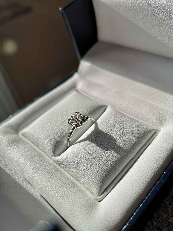 La demande en mariage 💍 - 2