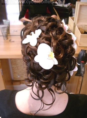 chignon