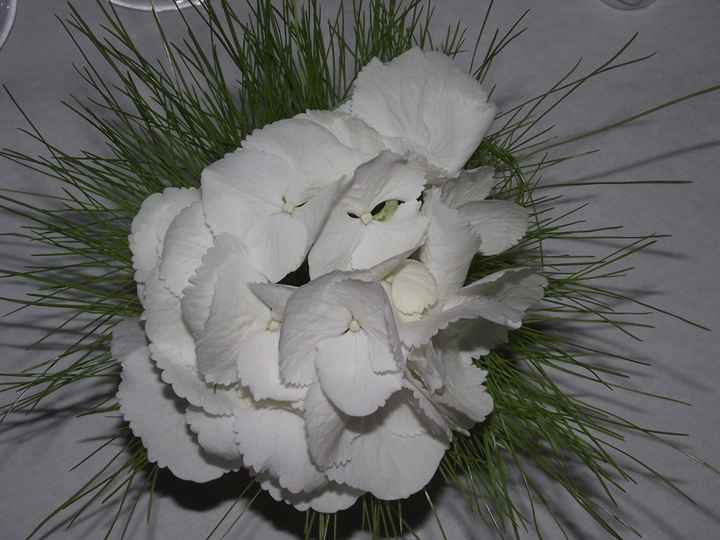 Hortensia