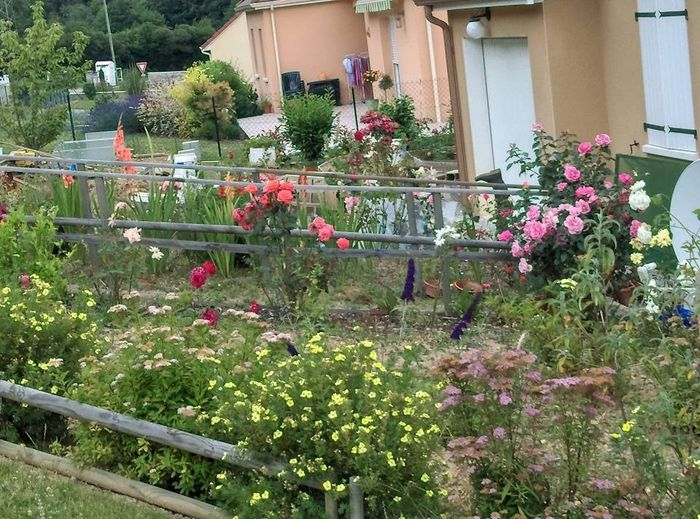 Les deux parterre fleuris devant la maison