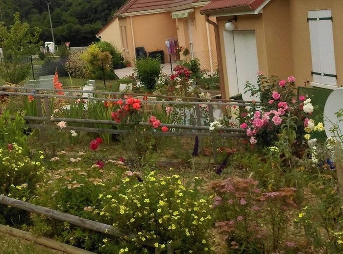 Les deux parterre fleuris devant la maison