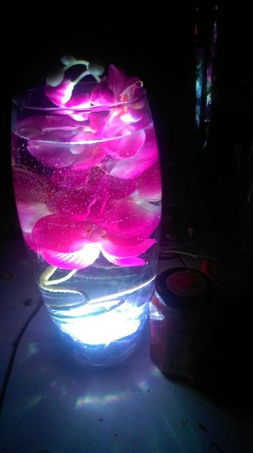 Vase fleur immergée - 1