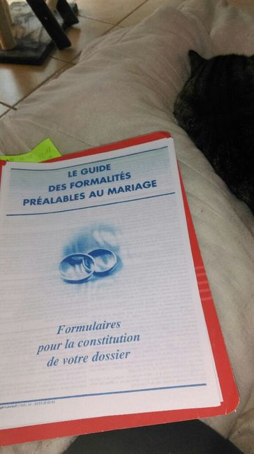 Robe et costume arrivées à point mariage plus colis du jour - 6