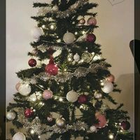 A vos sapins !!! - 1