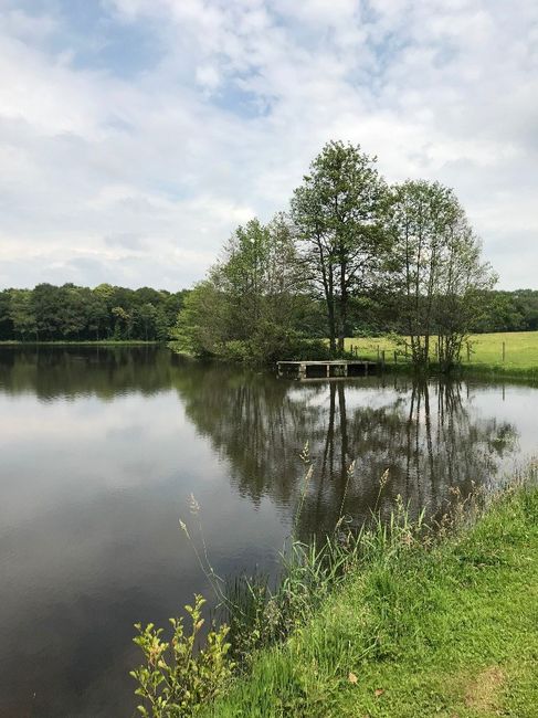 étang vue du fond du domaine