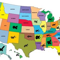 carte des états d'usa