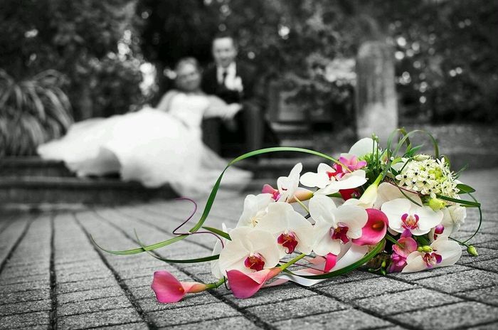 Enfin mes photos! - 2