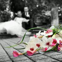 Enfin mes photos! - 2