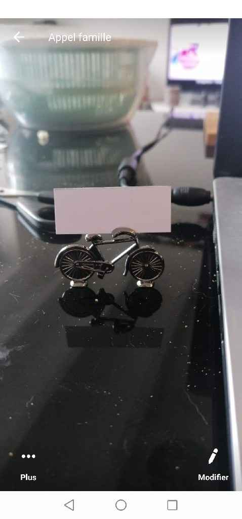 Decoration thème équestre/cyclisme - 7