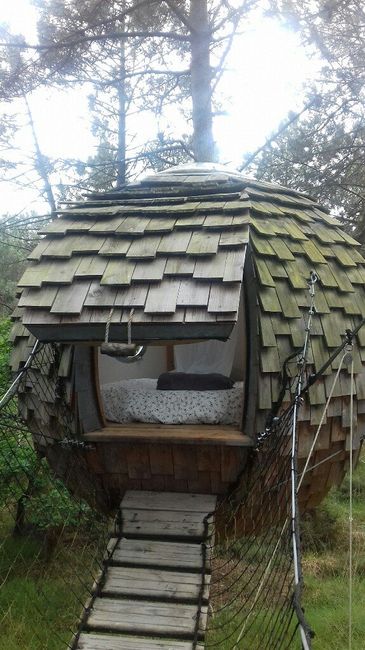 Nuit en bulle ou cabane - 2