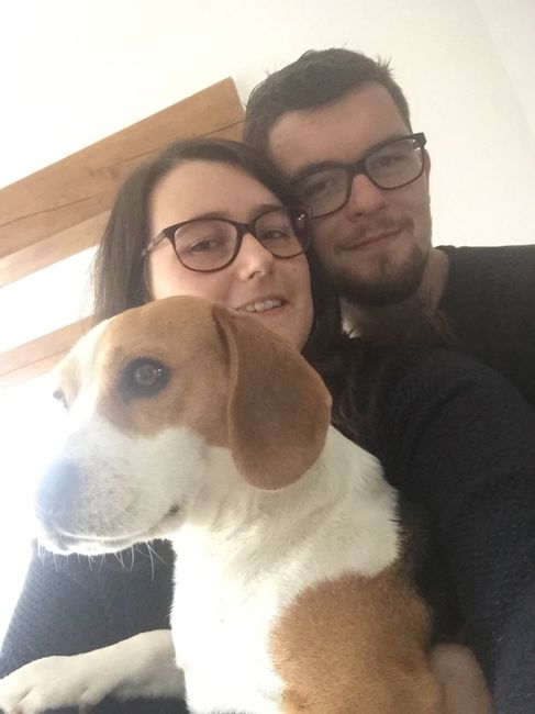 Comment s'appellent vos animaux poilus ? - 1