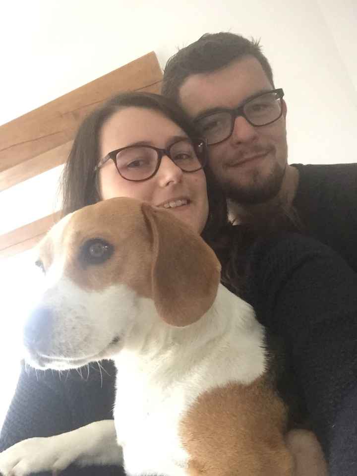 Comment s'appellent vos animaux poilus ? - 1